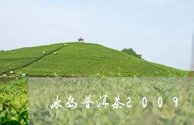 冰岛普洱茶2009/2023071183149