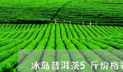 冰岛普洱茶5斤价格表及图片/2023052942715