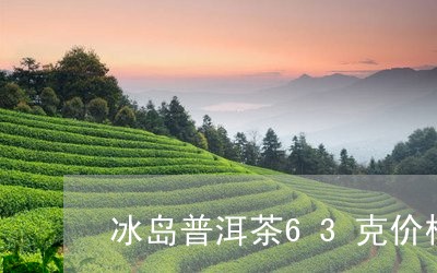 冰岛普洱茶63克价格及图片/2023110453937