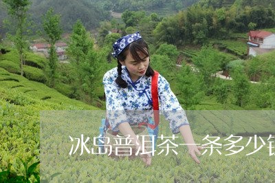 冰岛普洱茶一条多少钱/2023080746937