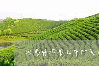 冰岛普洱茶上市时间表格/2023082792736