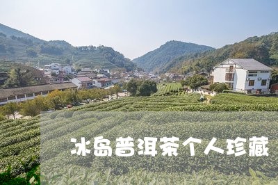 冰岛普洱茶个人珍藏/2023120524038