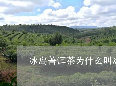 冰岛普洱茶为什么叫冰岛茶叶/2023052851692