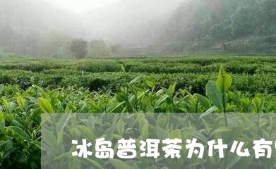 冰岛普洱茶为什么有些贵有些便宜/2023110395249