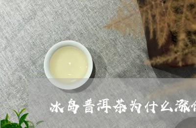 冰岛普洱茶为什么涨价了/2023120770714