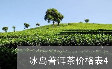 冰岛普洱茶价格表400元一斤/2023121351917