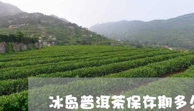 冰岛普洱茶保存期多久最好/2023112537171