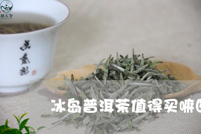 冰岛普洱茶值得买嘛图片/2023082769693