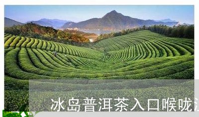 冰岛普洱茶入口喉咙涩/2023120619354