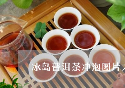 冰岛普洱茶冲泡图片大全/2023081709278