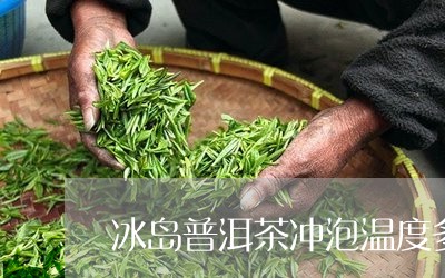 冰岛普洱茶冲泡温度多少合适/2023121350617