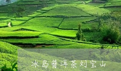 冰岛普洱茶刘宝山/2023120441585