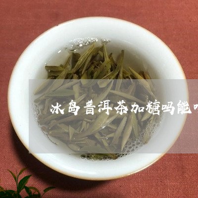 冰岛普洱茶加糖吗能喝吗/2023082536169