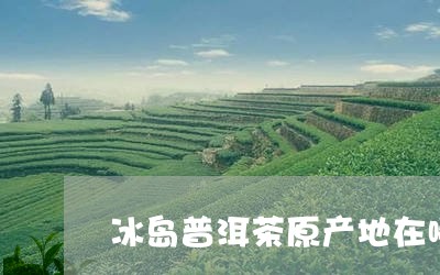 冰岛普洱茶原产地在哪里呀/2023121343048