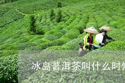 冰岛普洱茶叫什么时候火起来的/2023082892915