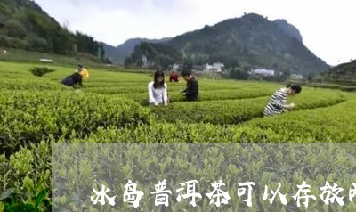 冰岛普洱茶可以存放两年吗吗/2023052815268