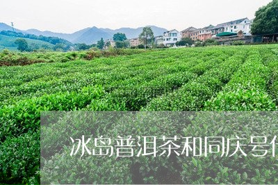 冰岛普洱茶和同庆号什么区别/2023082696362