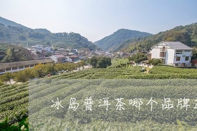 冰岛普洱茶哪个品牌正宗/2023050651592