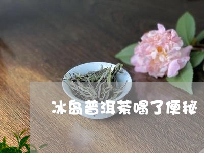 冰岛普洱茶喝了便秘/2023120596948