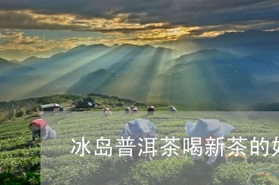 冰岛普洱茶喝新茶的好处/2023103179474