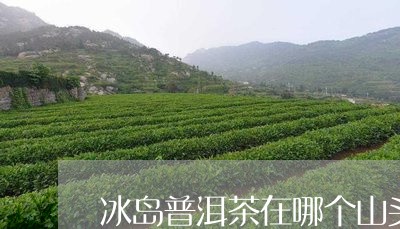 冰岛普洱茶在哪个山头最好/2023082893826