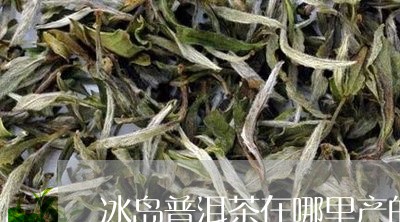 冰岛普洱茶在哪里产的好/2023110530593