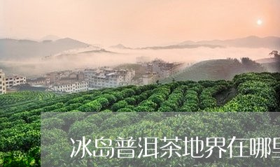 冰岛普洱茶地界在哪里/2023082818372