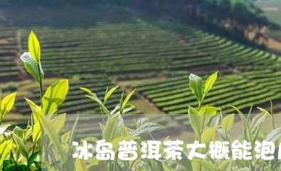 冰岛普洱茶大概能泡几泡/2023050580584