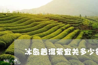 冰岛普洱茶宜关多少钱一斤/2023082851602