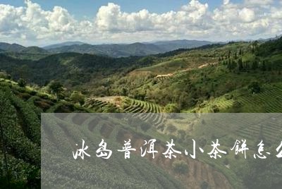 冰岛普洱茶小茶饼怎么喝/2023112837270