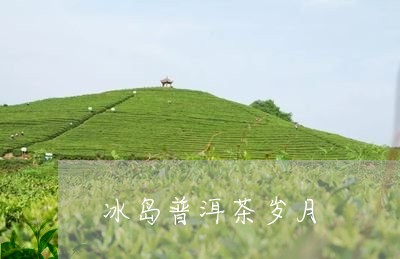 冰岛普洱茶岁月/2023121322628