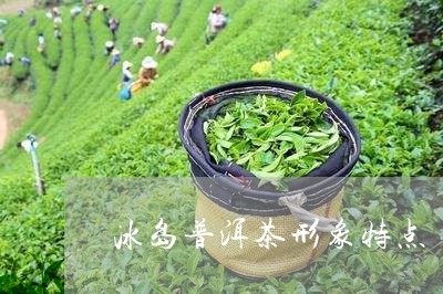 冰岛普洱茶形象特点/2023120541591