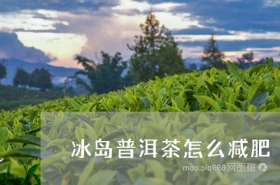 冰岛普洱茶怎么减肥/2023071113048