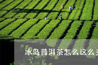 冰岛普洱茶怎么这么多品牌/2023110242129