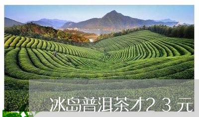 冰岛普洱茶才23元/2023121391582