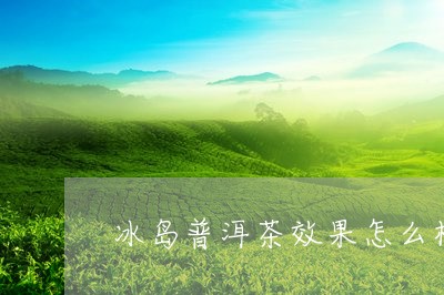 冰岛普洱茶效果怎么样/2023121389594