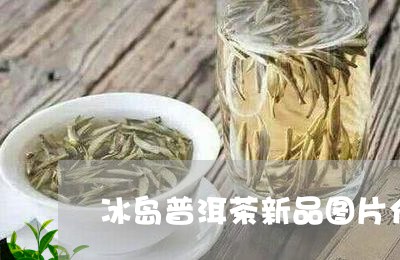 冰岛普洱茶新品图片介绍/2023082872816