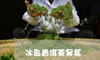 冰岛普洱茶昊茗/2023120378373