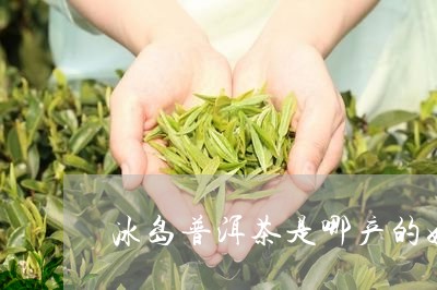 冰岛普洱茶是哪产的好一点/2023112527482