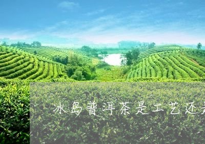 冰岛普洱茶是工艺还是品种/2023110256249