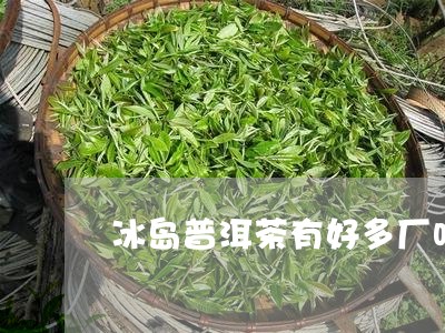 冰岛普洱茶有好多厂吗/2023082843036