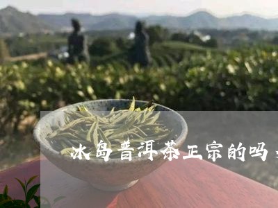 冰岛普洱茶正宗的吗多少钱/2023082838506