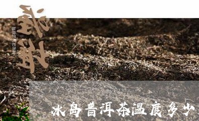 冰岛普洱茶温度多少度冲泡/2023121354027