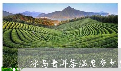 冰岛普洱茶温度多少度合适/2023082853937