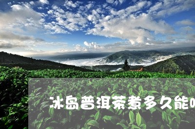 冰岛普洱茶煮多久能喝了/2023082554968