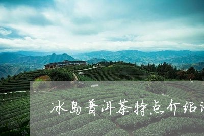 冰岛普洱茶特点介绍词/2023082847362