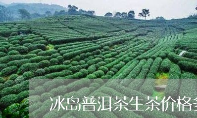 冰岛普洱茶生茶价格多少/2023110307937