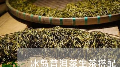 冰岛普洱茶生茶搭配/2023120523514