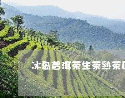 冰岛普洱茶生茶熟茶区别在哪/2023082804069