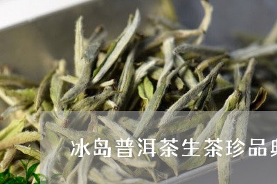 冰岛普洱茶生茶珍品典藏/2023050538261